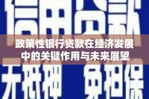 邯山政策性银行贷款在经济发展中的关键作用与未来展望