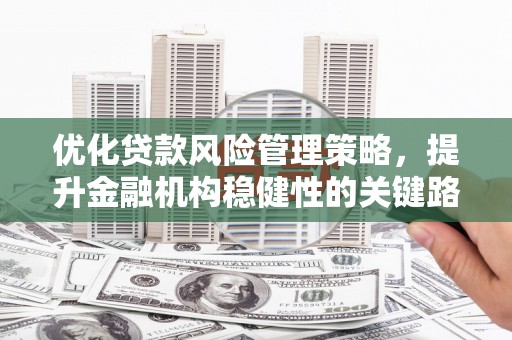 邯山优化贷款风险管理策略，提升金融机构稳健性的关键路径