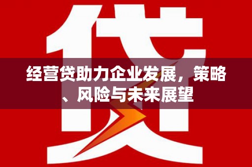 邯山经营贷助力企业发展，策略、风险与未来展望