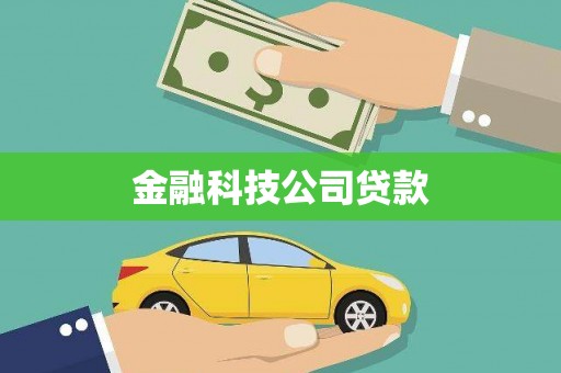 邯山金融科技公司贷款
