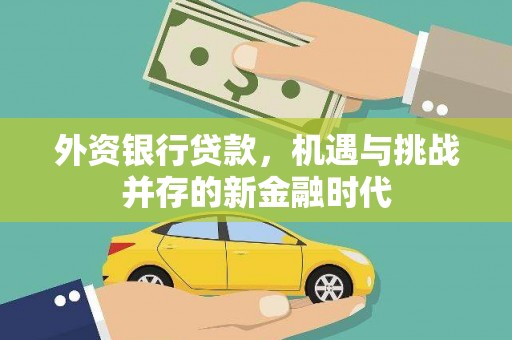 邯山外资银行贷款，机遇与挑战并存的新金融时代
