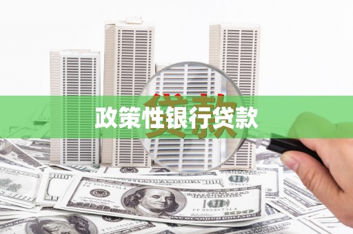 邯山政策性银行贷款