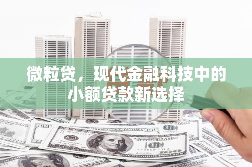 邯山微粒贷，现代金融科技中的小额贷款新选择