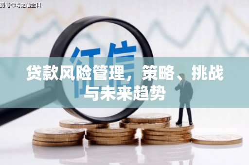 邯山贷款风险管理，策略、挑战与未来趋势