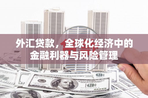 邯山外汇贷款，全球化经济中的金融利器与风险管理