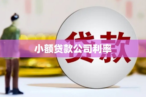 邯山小额贷款公司利率