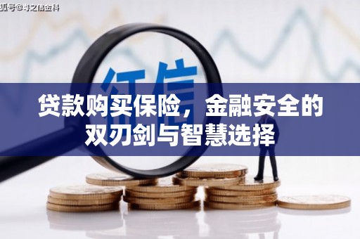 邯山贷款购买保险，金融安全的双刃剑与智慧选择