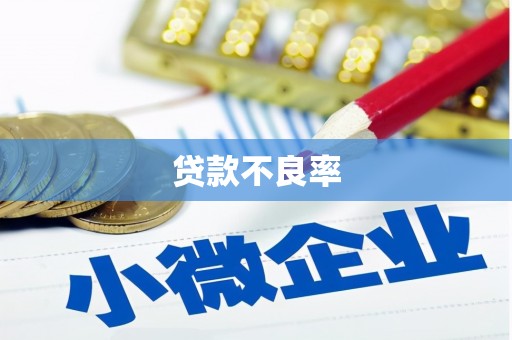 邯山贷款不良率