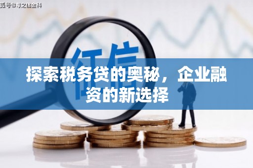 邯山探索税务贷的奥秘，企业融资的新选择