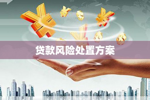 邯山贷款风险处置方案