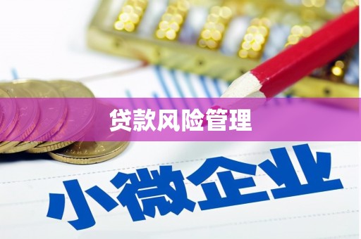 邯山贷款风险管理