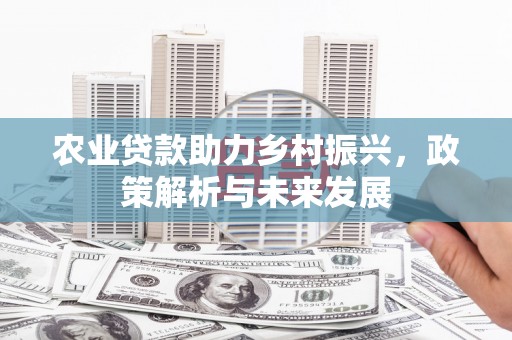 邯山农业贷款助力乡村振兴，政策解析与未来发展