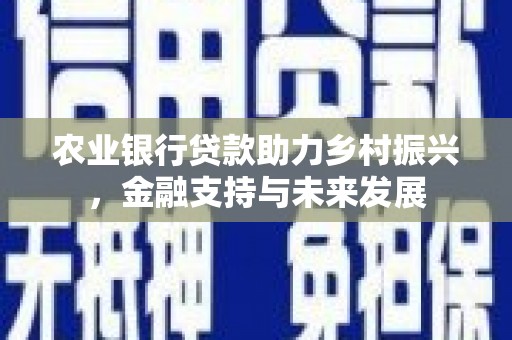 邯山农业银行贷款助力乡村振兴，金融支持与未来发展