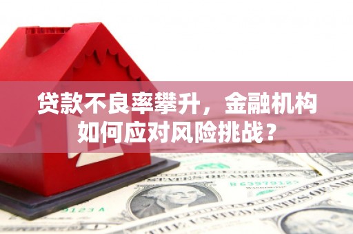 邯山贷款不良率攀升，金融机构如何应对风险挑战？
