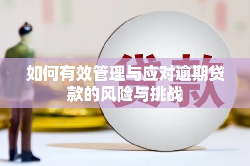邯山如何有效管理与应对逾期贷款的风险与挑战