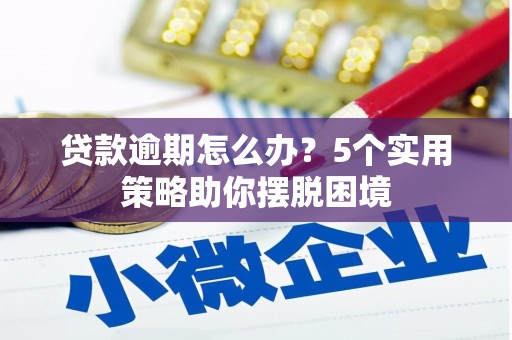 邯山贷款逾期怎么办？5个实用策略助你摆脱困境