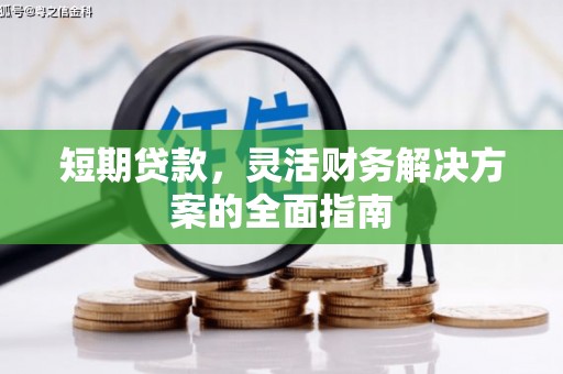邯山短期贷款，灵活财务解决方案的全面指南