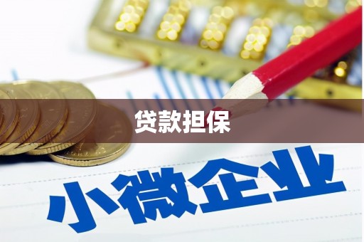 邯山贷款担保