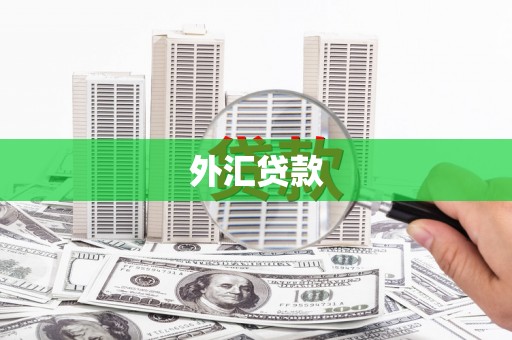 邯山外汇贷款