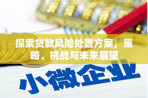 邯山探索贷款风险处置方案，策略、挑战与未来展望