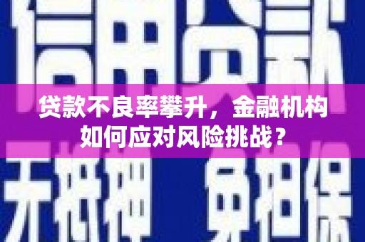 邯山贷款不良率攀升，金融机构如何应对风险挑战？