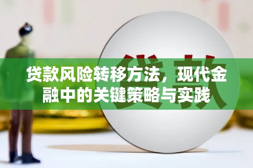 邯山贷款风险转移方法，现代金融中的关键策略与实践