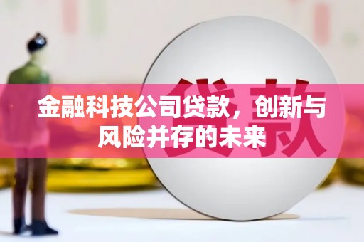 邯山金融科技公司贷款，创新与风险并存的未来