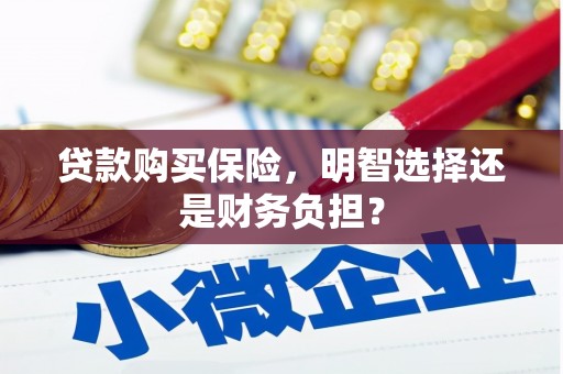 邯山贷款购买保险，明智选择还是财务负担？