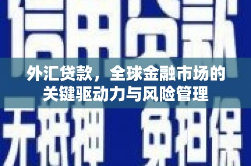 邯山外汇贷款，全球金融市场的关键驱动力与风险管理