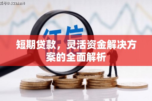 邯山短期贷款，灵活资金解决方案的全面解析