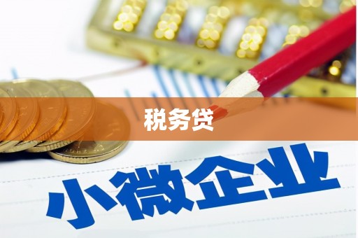 邯山税务贷