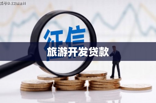邯山旅游开发贷款