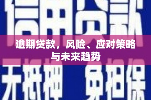 邯山逾期贷款，风险、应对策略与未来趋势