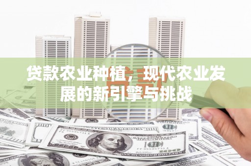 邯山贷款农业种植，现代农业发展的新引擎与挑战