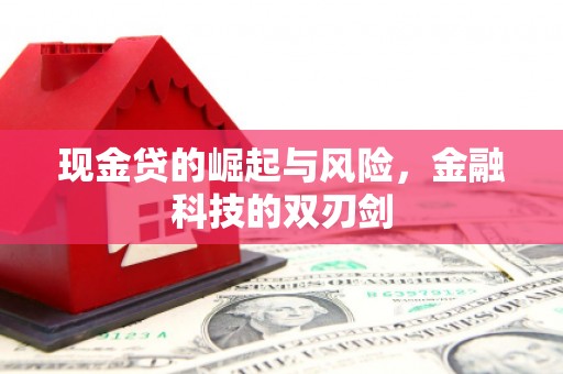 邯山现金贷的崛起与风险，金融科技的双刃剑