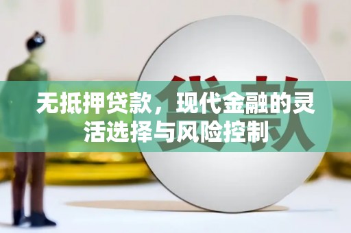 邯山无抵押贷款，现代金融的灵活选择与风险控制