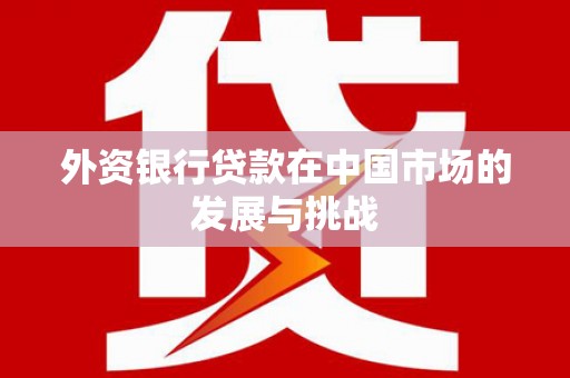 邯山外资银行贷款在中国市场的发展与挑战