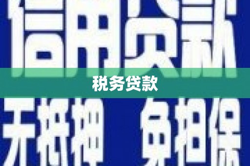 邯山税务贷款