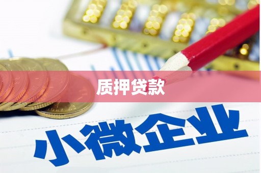 邯山质押贷款