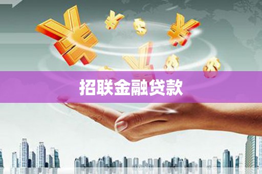 邯山招联金融贷款