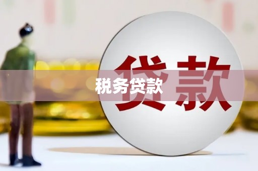 邯山税务贷款