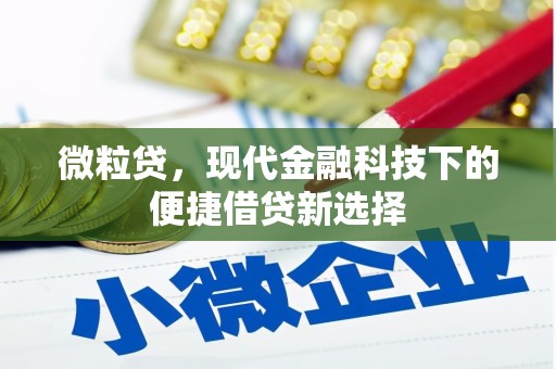 邯山微粒贷，现代金融科技下的便捷借贷新选择