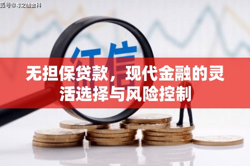 邯山无担保贷款，现代金融的灵活选择与风险控制