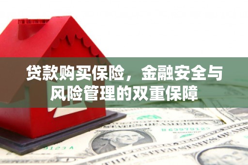 邯山贷款购买保险，金融安全与风险管理的双重保障