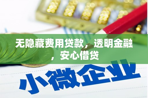 邯山无隐藏费用贷款，透明金融，安心借贷