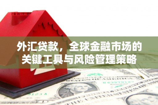 邯山外汇贷款，全球金融市场的关键工具与风险管理策略