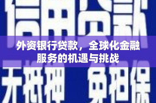 邯山外资银行贷款，全球化金融服务的机遇与挑战