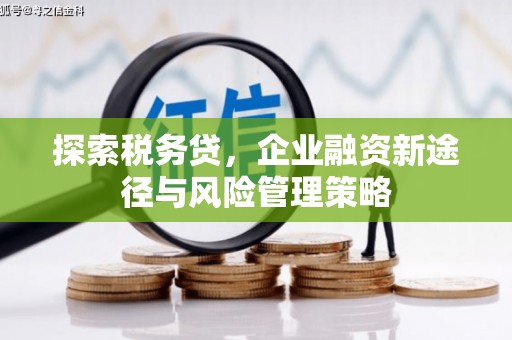 邯山探索税务贷，企业融资新途径与风险管理策略