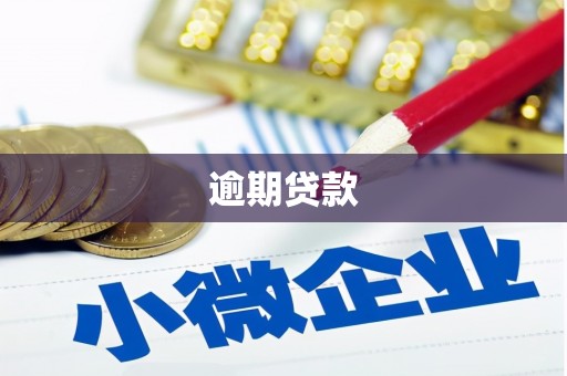 邯山逾期贷款