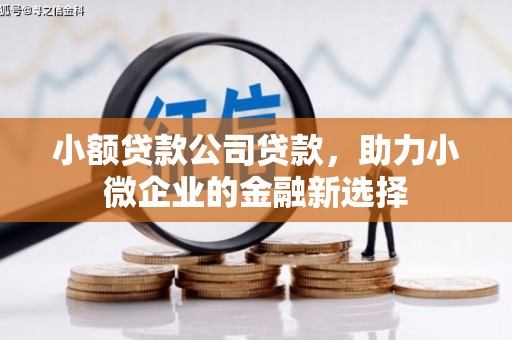 邯山小额贷款公司贷款，助力小微企业的金融新选择